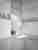 Sfumato Grey
